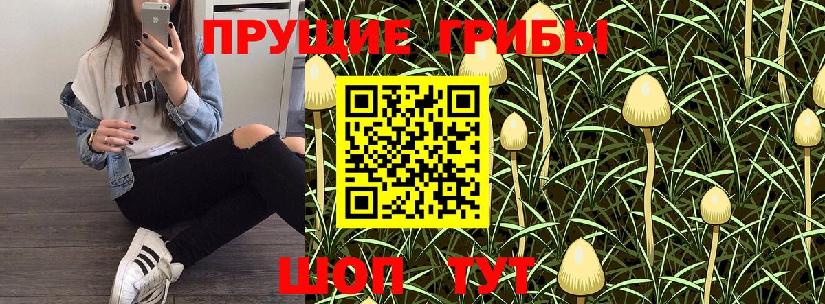 Псилоцибиновые грибы Psilocybe  Вход с VPN  Тосно 
