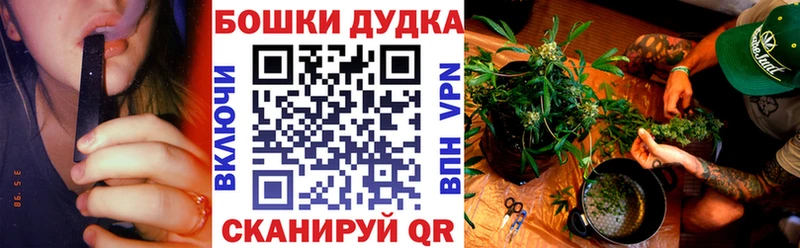 Шишки марихуана OG Kush Тосно